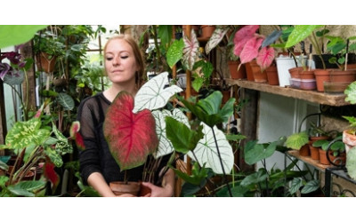 BionicLED et les Urban Jungle Bloggers