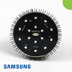 BionicSpot Onyx Green